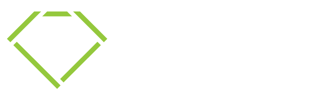 Simple Safety Solutions Logo